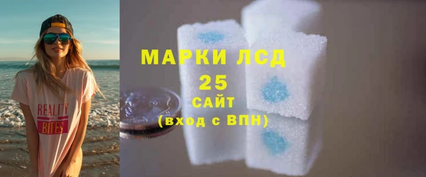 гидра Абаза