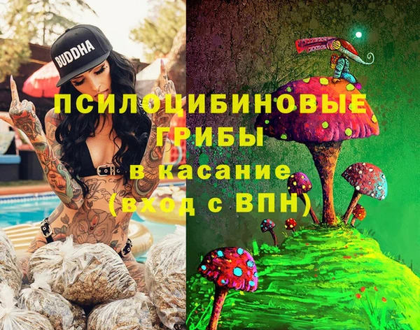 герыч Алексин