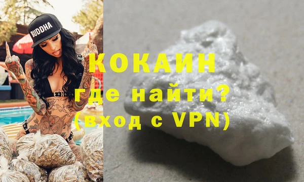 гидра Абаза