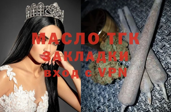 гидра Абаза
