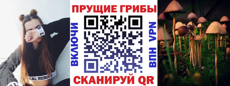 Псилоцибиновые грибы Magic Shrooms  даркнет сайт  Алзамай 
